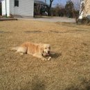 포유펜션 이미지