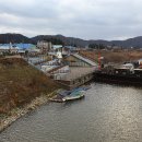 홍어한마리 이미지