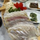 동강횟집 | 삼천포항 횟집 추천 현지인이랑 방문한 동강횟집