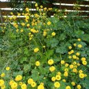 신풍면사무소 이미지