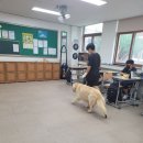 진안중학교 이미지