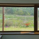 스테이반시 이미지