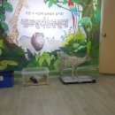 금성어린이집 이미지