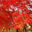 응암공원 이미지