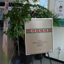 아이세이버평택역점 이미지