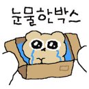 베이비왁싱
