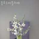 꽃호수아뜰리에 이미지