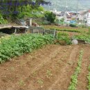 월영동108 이미지