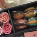 묘한마카롱
