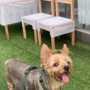 카페위드멍냠 이미지