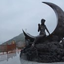 녹산사슴 이미지