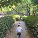 청사초롱 유아숲체험원 이미지
