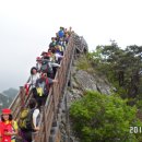 시골잡화
