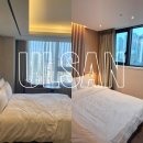 울산 호텔 추천 에쉬튼호텔과 롯데시티호텔 울산 직접 숙박 비교 후기