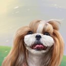 보리사랑 이미지