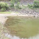 용성목장 이미지