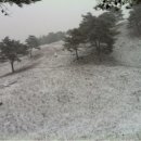 박철희농장 네이버블로그