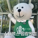 내돈내산 부산 기장 카페 추천 &#34;스타벅스 임랑원점&#34; 주말 방문 후기