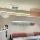 와이레이디여성의원 | 와이존 착색 늘어난 소음순 길이, 여성 수술로 미백까지