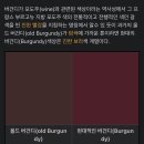 아이폰 '버건디'색상 출시 기념 버건디에 대한 TMI 이미지