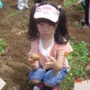 안양시 가족봉사단 감자 수확 및 수혜처 전달 - 2009년7월11일 이미지