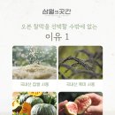 영전3 | 삼월의곳간 양산교육지원청 선생님 영전답례떡 배달하고 왔습니다 (양산부산 떡배달 가능)