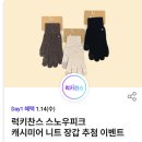 sk이신분들 티데이 스노우피크장갑 응모해보세요 이미지