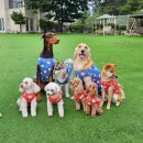 놀아펜션 이미지