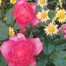 입동이 이틀 앞으로 이미지