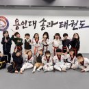 용인대 송라태권도장 이미지