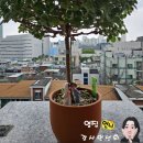 허브헤어미용실 이미지