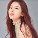 레드브라운 - 안양시 동안구 평촌대로 217 | 레드브라운