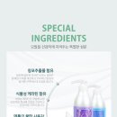 아로마허브 이미지