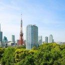 더프린스호텔 이미지