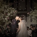 고니스튜디오 이미지