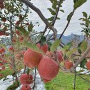 유석농장 이미지