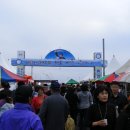 방어축제거리 이미지