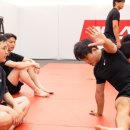 하바스MMA 압구정 이미지