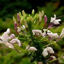 간데메공원 이미지