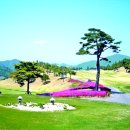 삼일개발주식회사 이미지