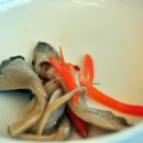 남해복어 이미지