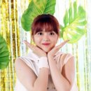 수연 이미지