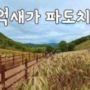 경기도 단풍 명소 포천 명성산 등산코스 명성산 억새 이미지