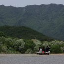 오월의꽃수레 이미지