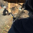 용당내광로 | 울산 울주군 카페 드라이브 가기 좋은 한옥 카페 이층카페