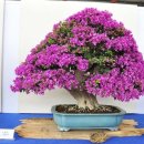 중화고등학교 이미지