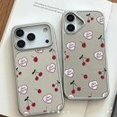 세이지 | 아이폰17 세이지 후기