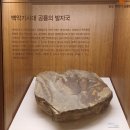 대부도아이와함께갈만한곳-탄도항 안산어촌민속박물관추천-주차,입장료,이용안내