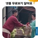 지에스25기안우방점 | 요망진 넷플릭스 요금제 인상 대처법