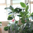 한아름 축산 이미지